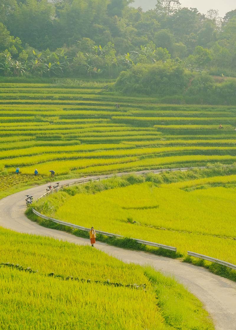 Hiking Trails Near Hanoi